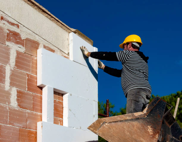 Best Residential Insulation in Arcadia, WI