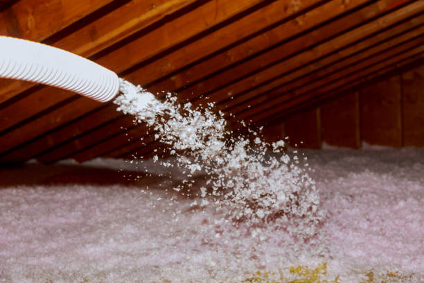 Best Energy Efficiency Insulation in Arcadia, WI
