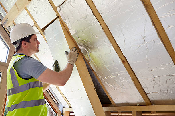 Best Eco-Friendly Insulation in Arcadia, WI